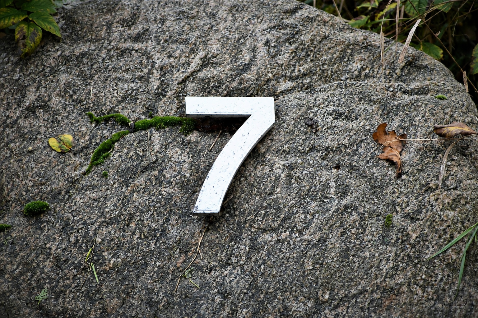 7